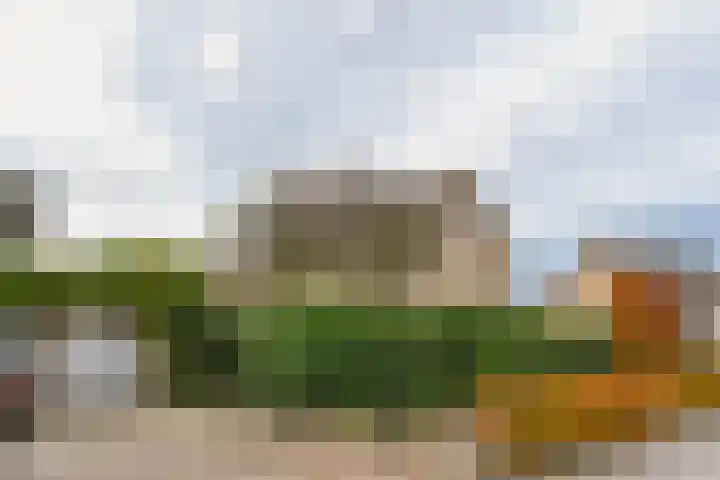 Violier 17 Haelen thumbnail 5