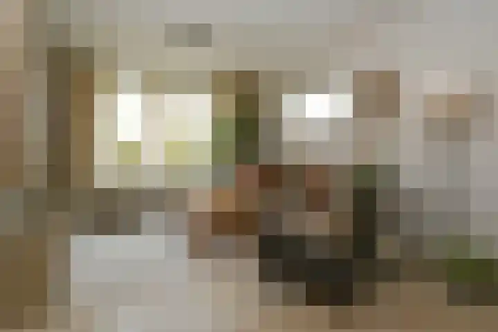 Violier 17 Haelen thumbnail 6