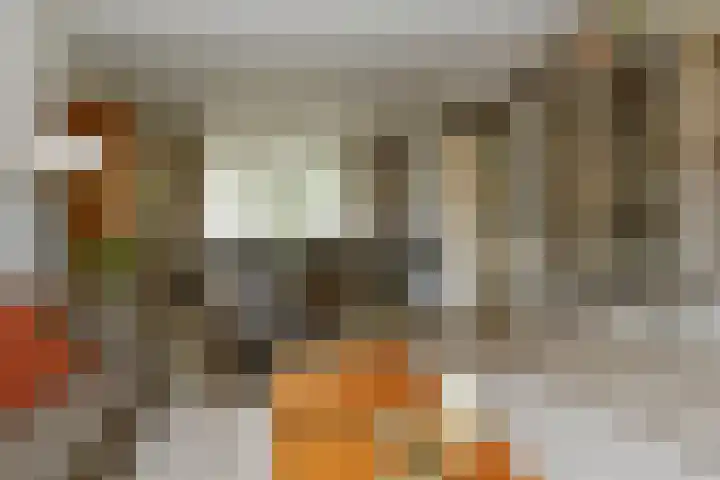 Violier 17 Haelen thumbnail 7