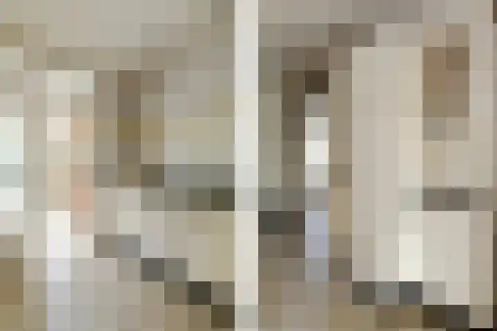 Violier 17 Haelen thumbnail 8