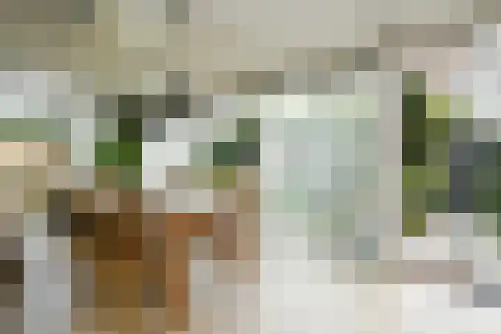 Violier 17 Haelen thumbnail 9