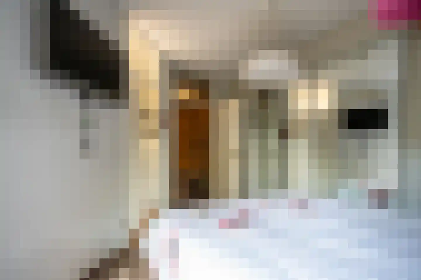 Violier 7 Hoogeveen thumbnail 11