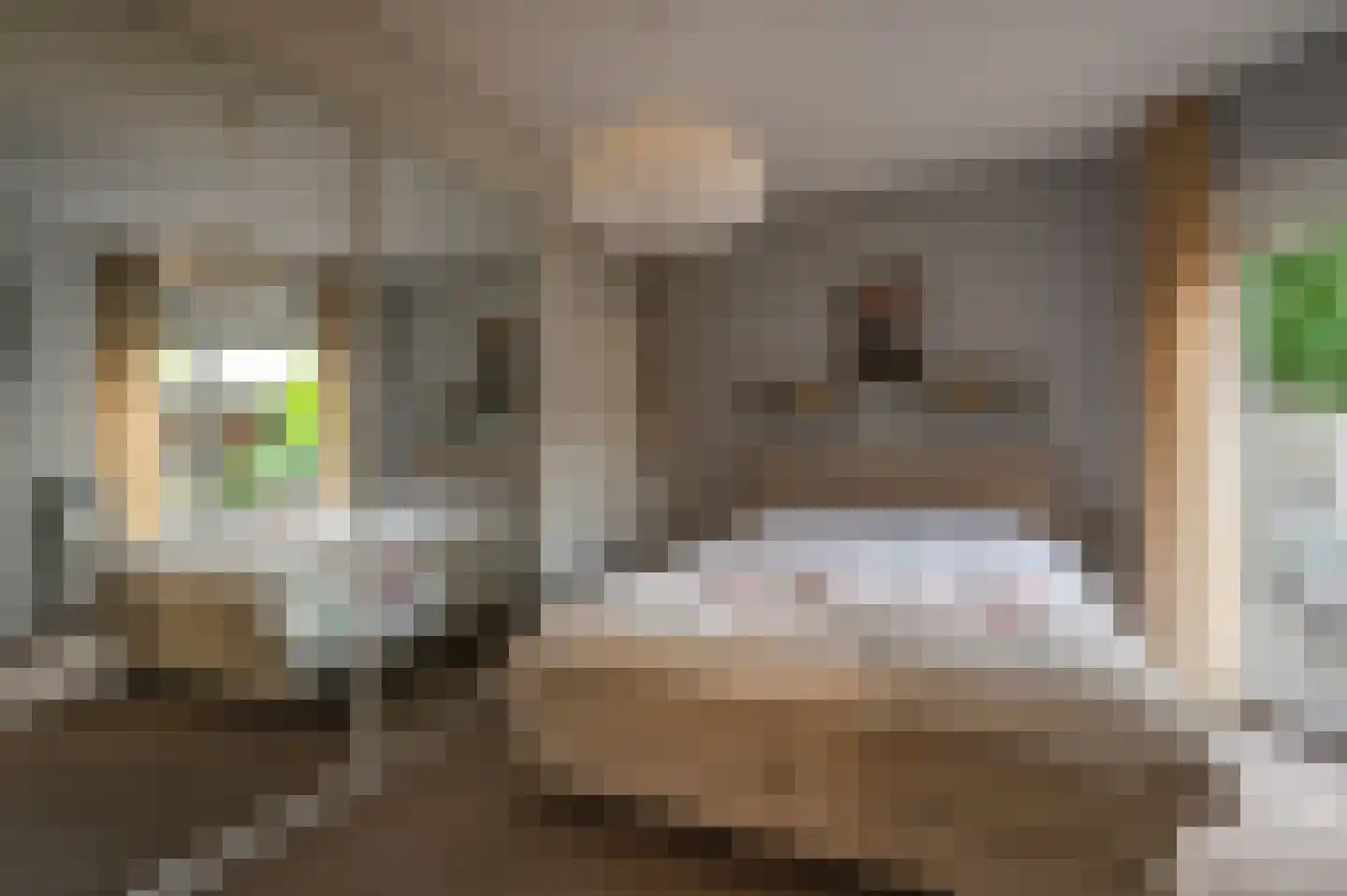 Violier 7 Hoogeveen thumbnail 12