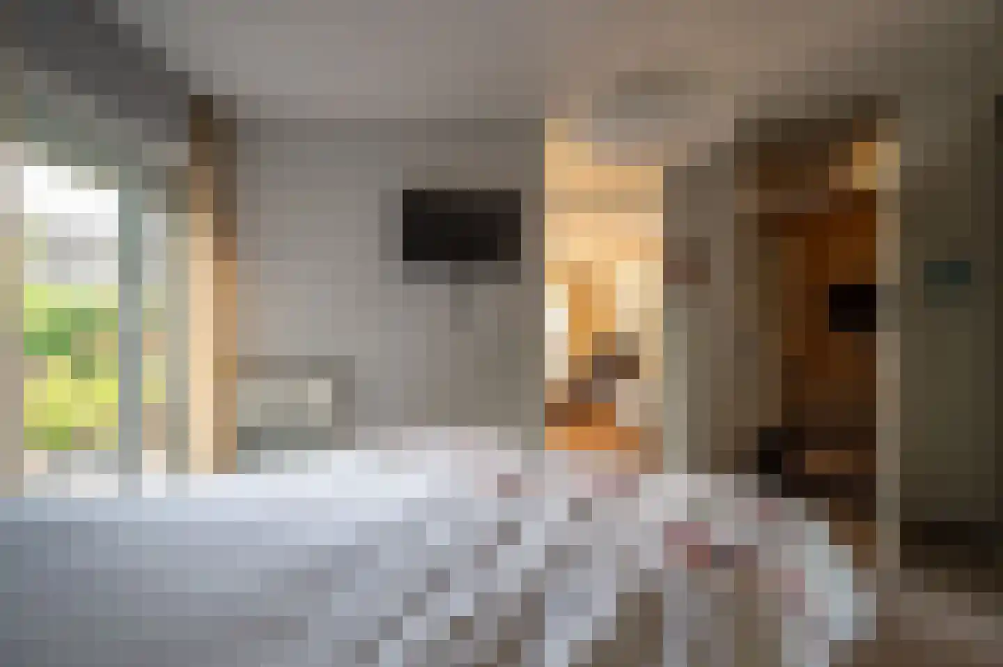 Violier 7 Hoogeveen thumbnail 15