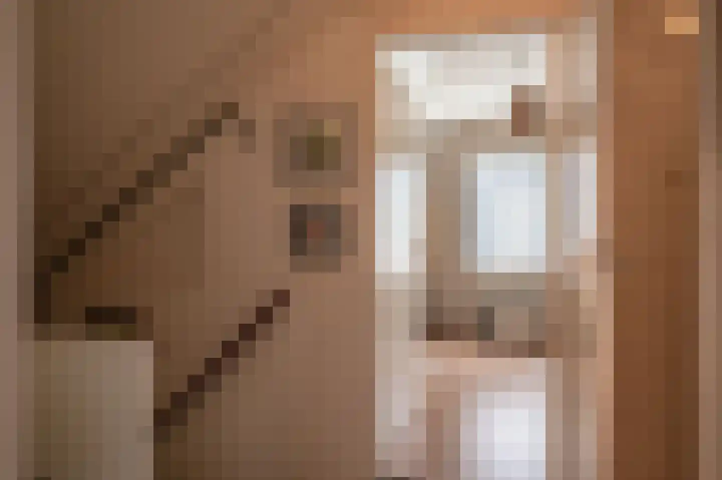 Violier 7 Hoogeveen thumbnail 15