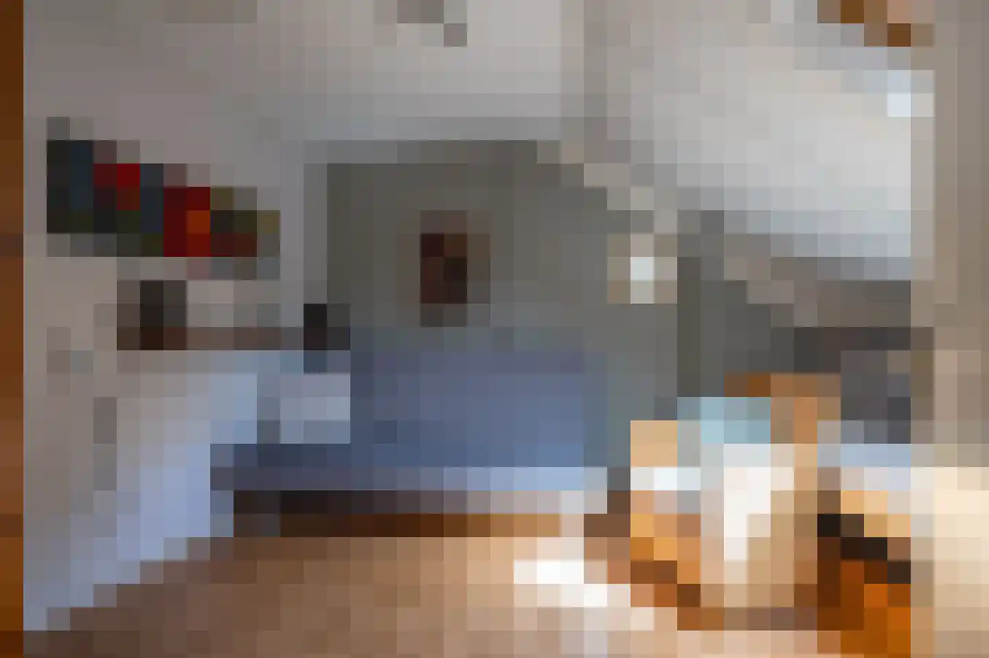 Violier 7 Hoogeveen thumbnail 19