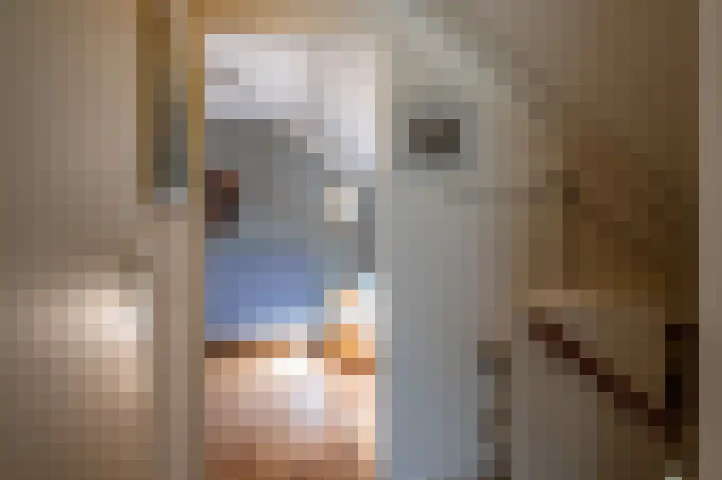 Violier 7 Hoogeveen thumbnail 20