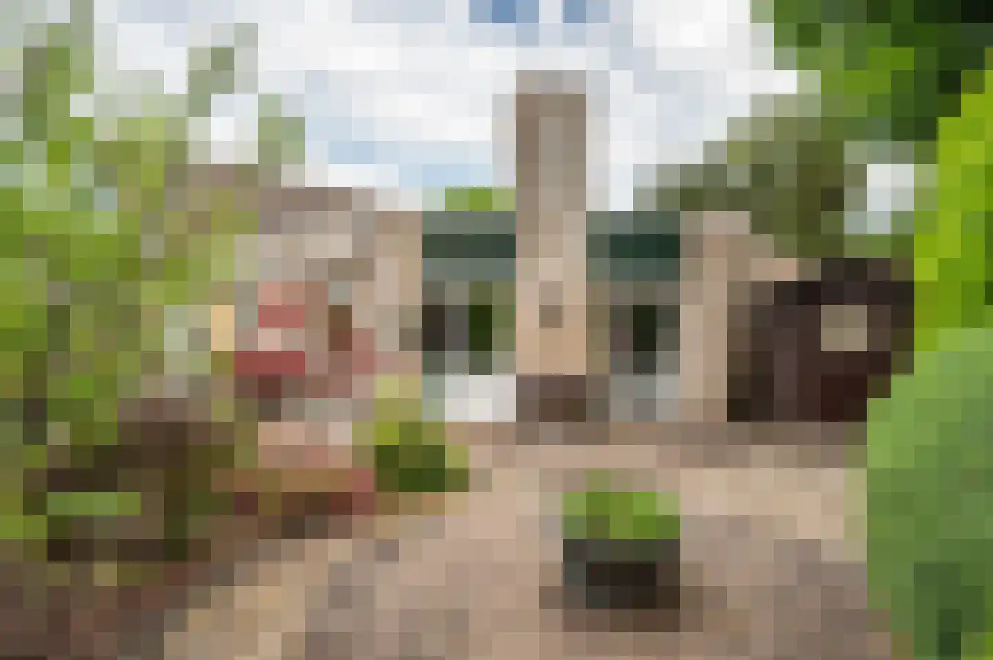 Violier 7 Hoogeveen thumbnail 22