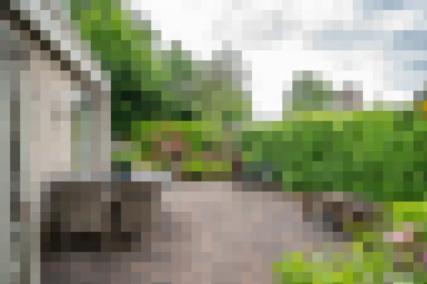 Violier 7 Hoogeveen thumbnail 23