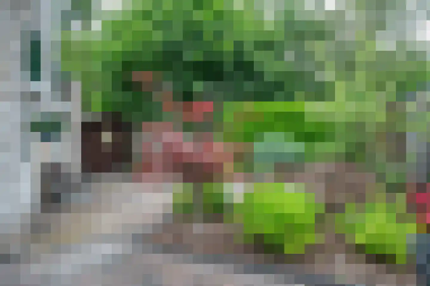 Violier 7 Hoogeveen thumbnail 24