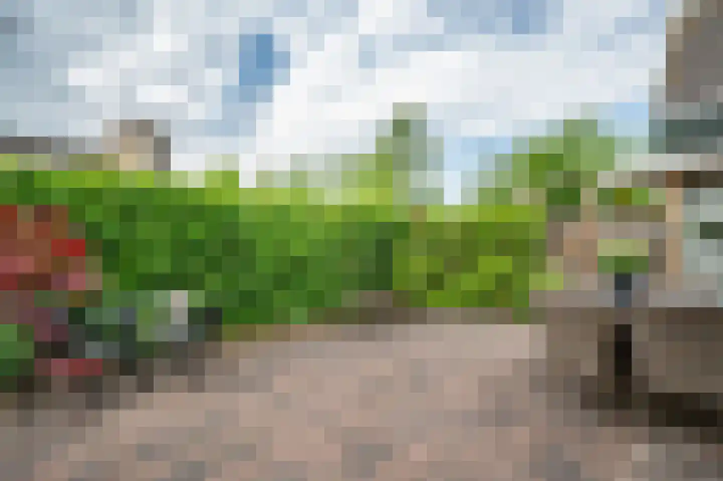 Violier 7 Hoogeveen thumbnail 26