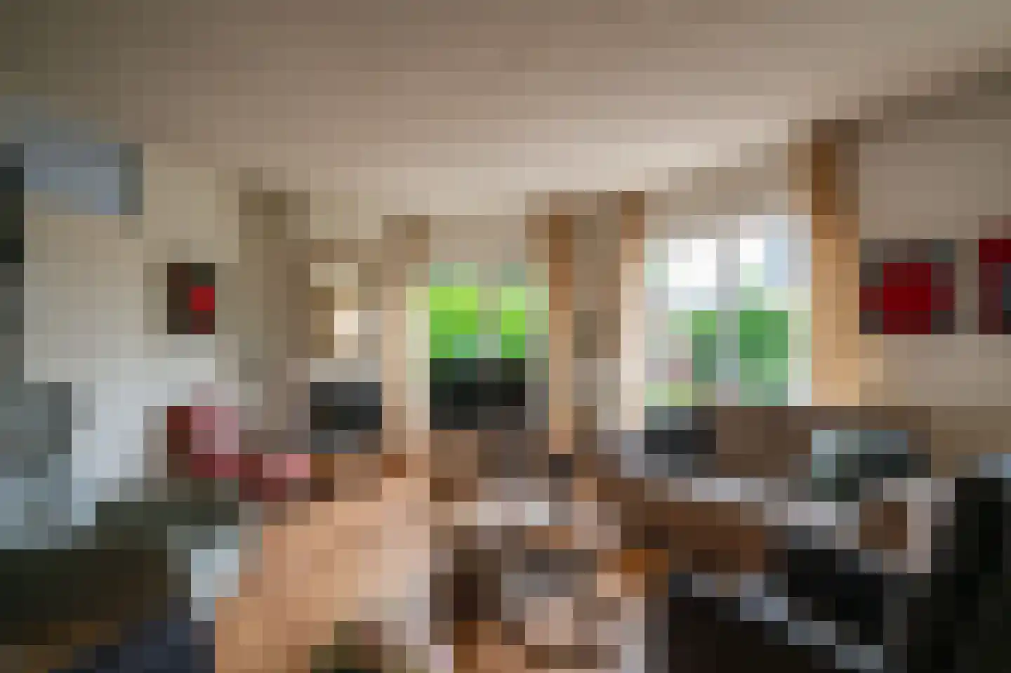Violier 7 Hoogeveen thumbnail 5