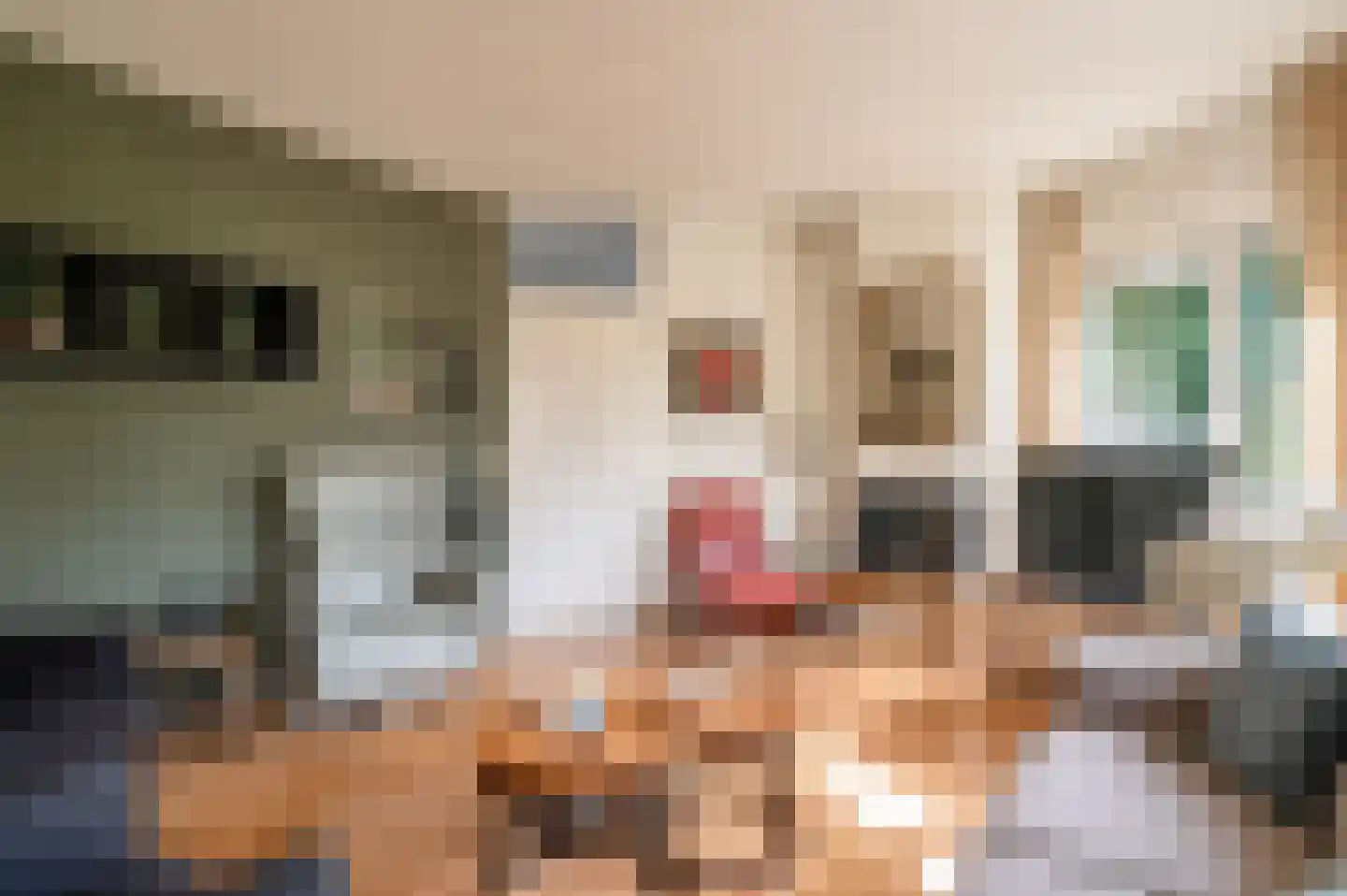 Violier 7 Hoogeveen thumbnail 6