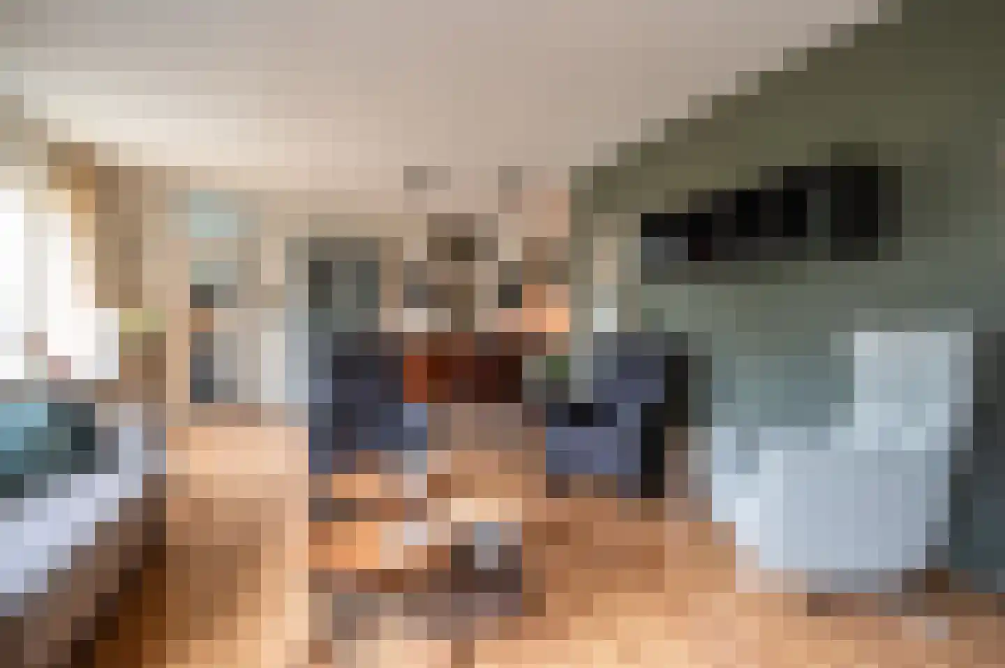 Violier 7 Hoogeveen thumbnail 7