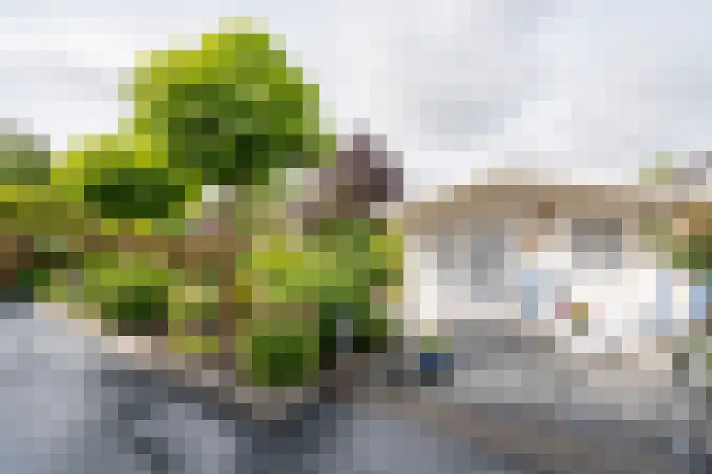 Violierlaan 60 Leerdam thumbnail 32