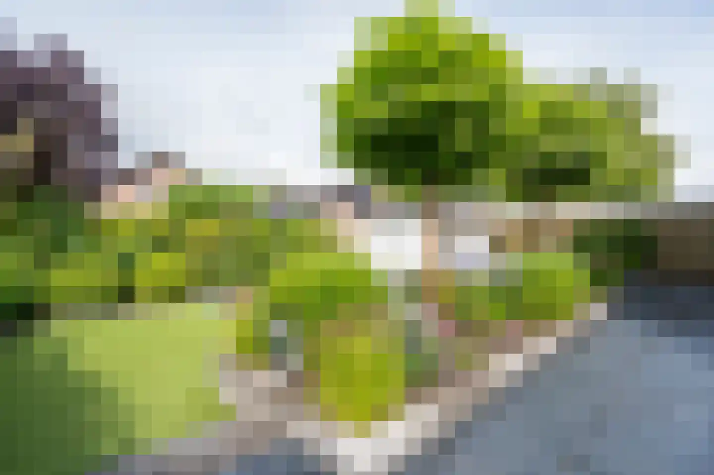 Violierlaan 60 Leerdam thumbnail 33