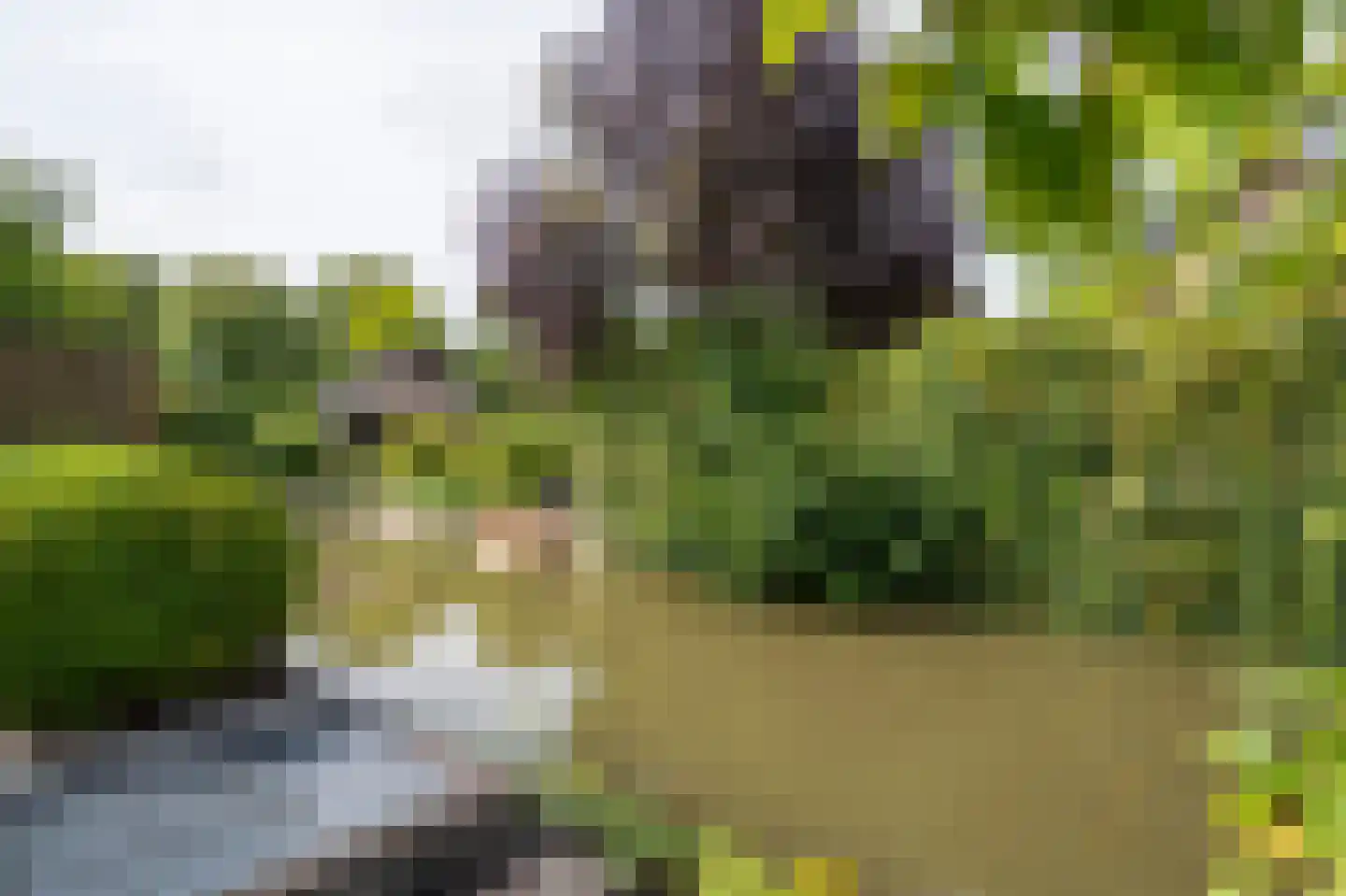 Violierlaan 60 Leerdam thumbnail 34
