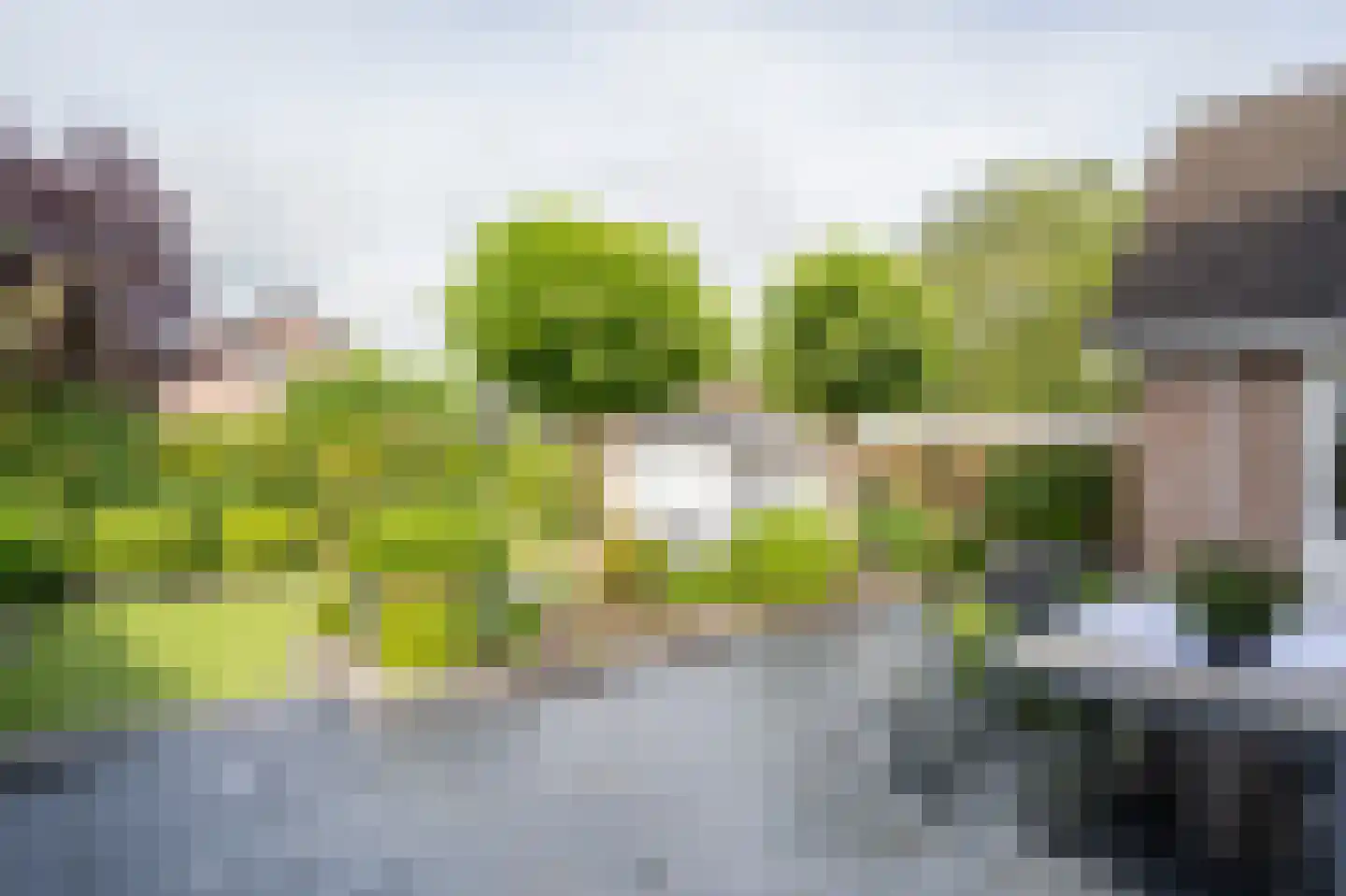 Violierlaan 60 Leerdam thumbnail 36