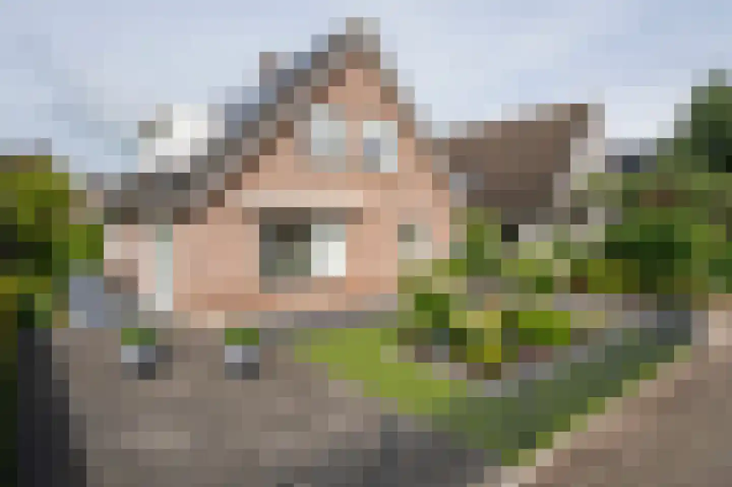 Violierlaan 60 Leerdam thumbnail 5