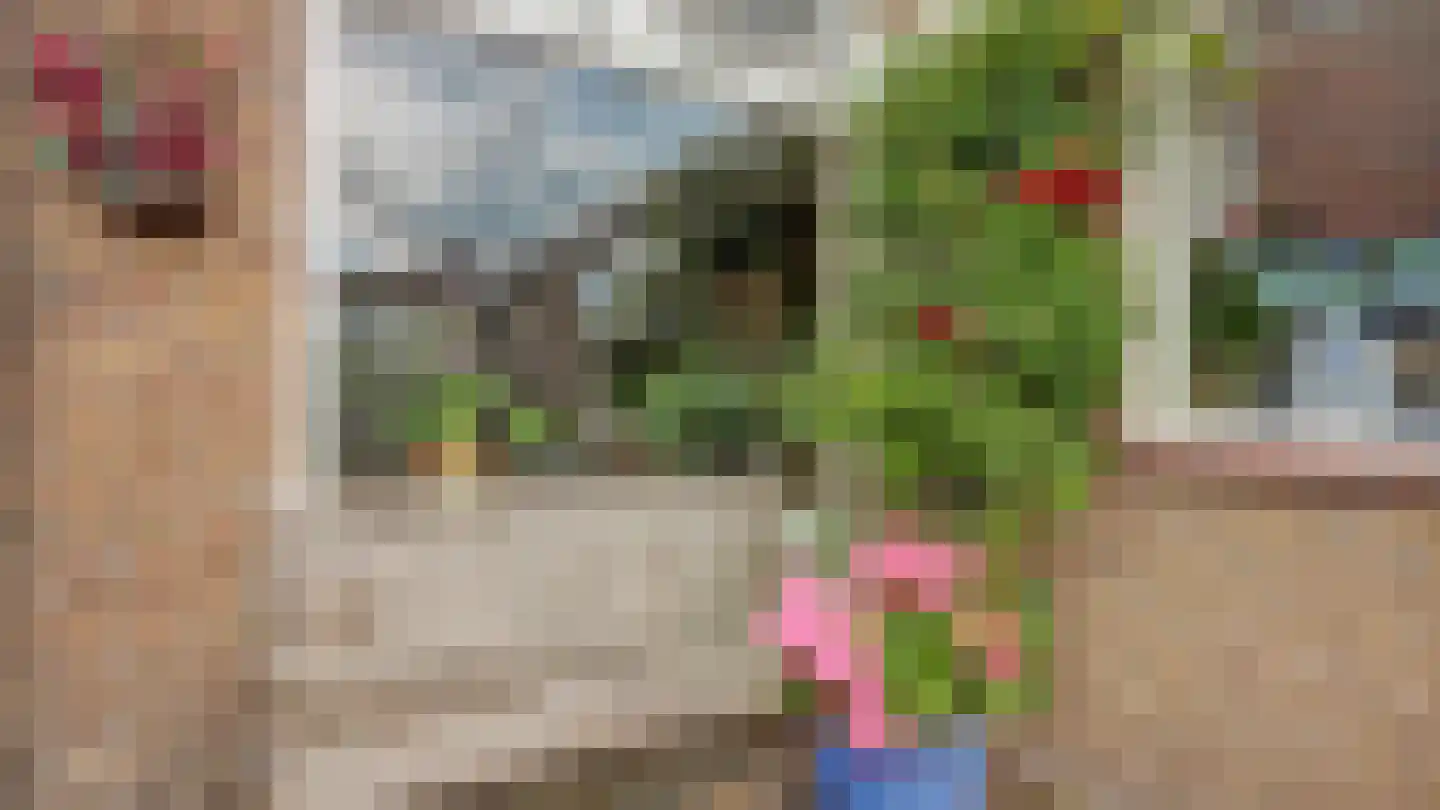 Violierstraat 10 Almelo thumbnail 12