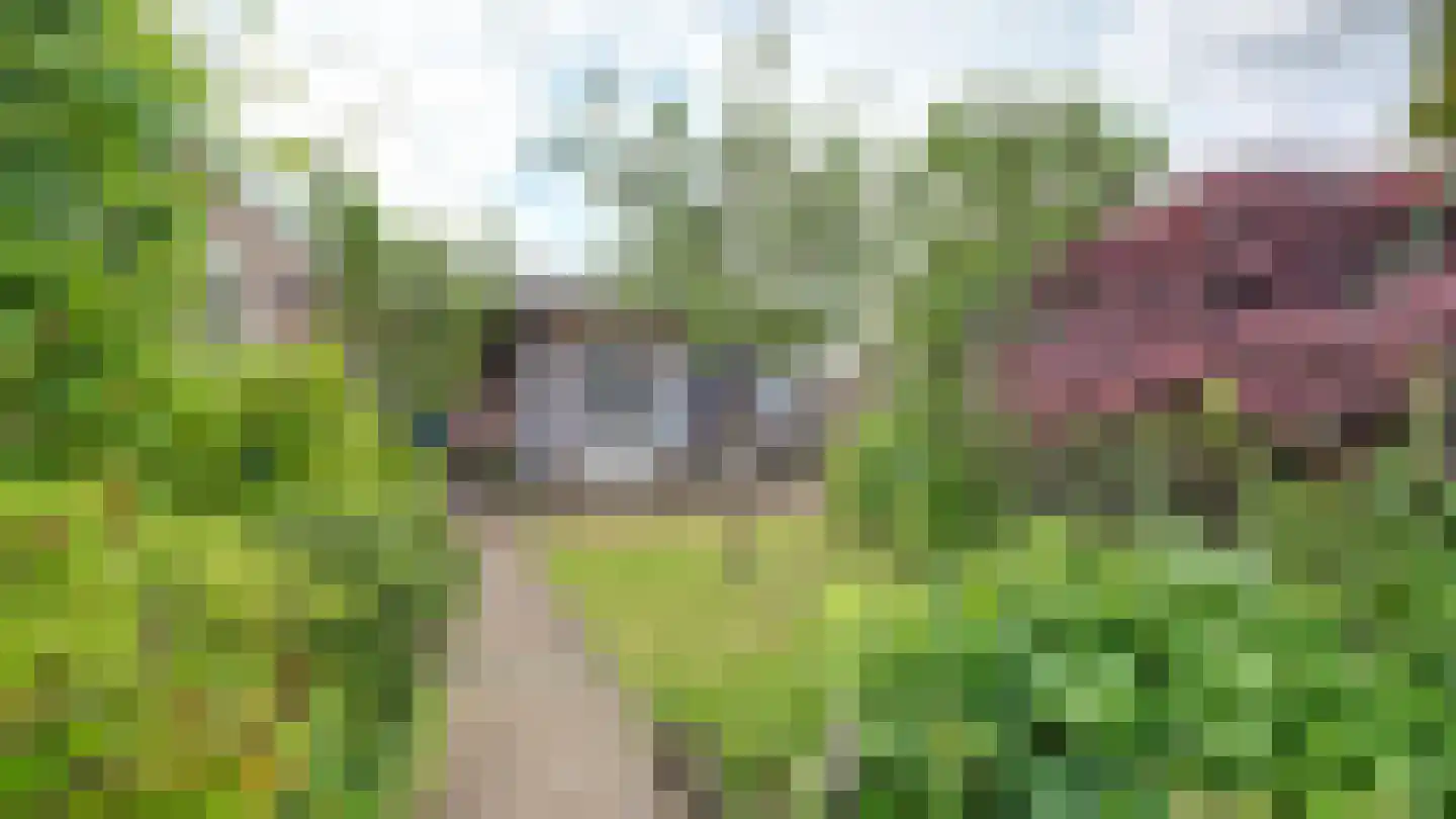Violierstraat 10 Almelo thumbnail 16