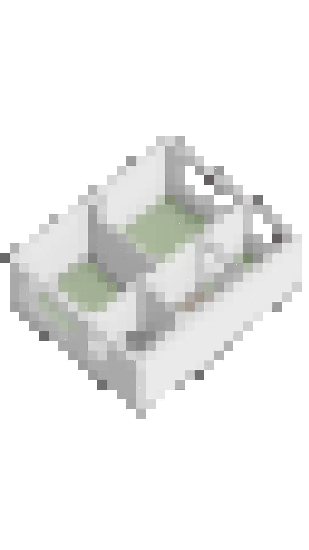 Violierstraat 11 Breskens thumbnail 42