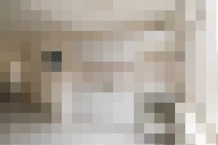 Violierstraat 122 Almelo thumbnail 8