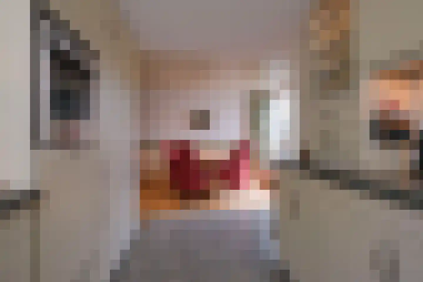 Violierstraat 15 Almelo thumbnail 12