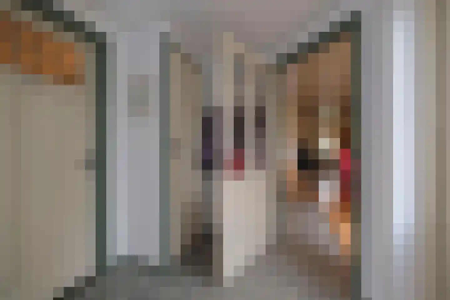 Violierstraat 15 Almelo thumbnail 13