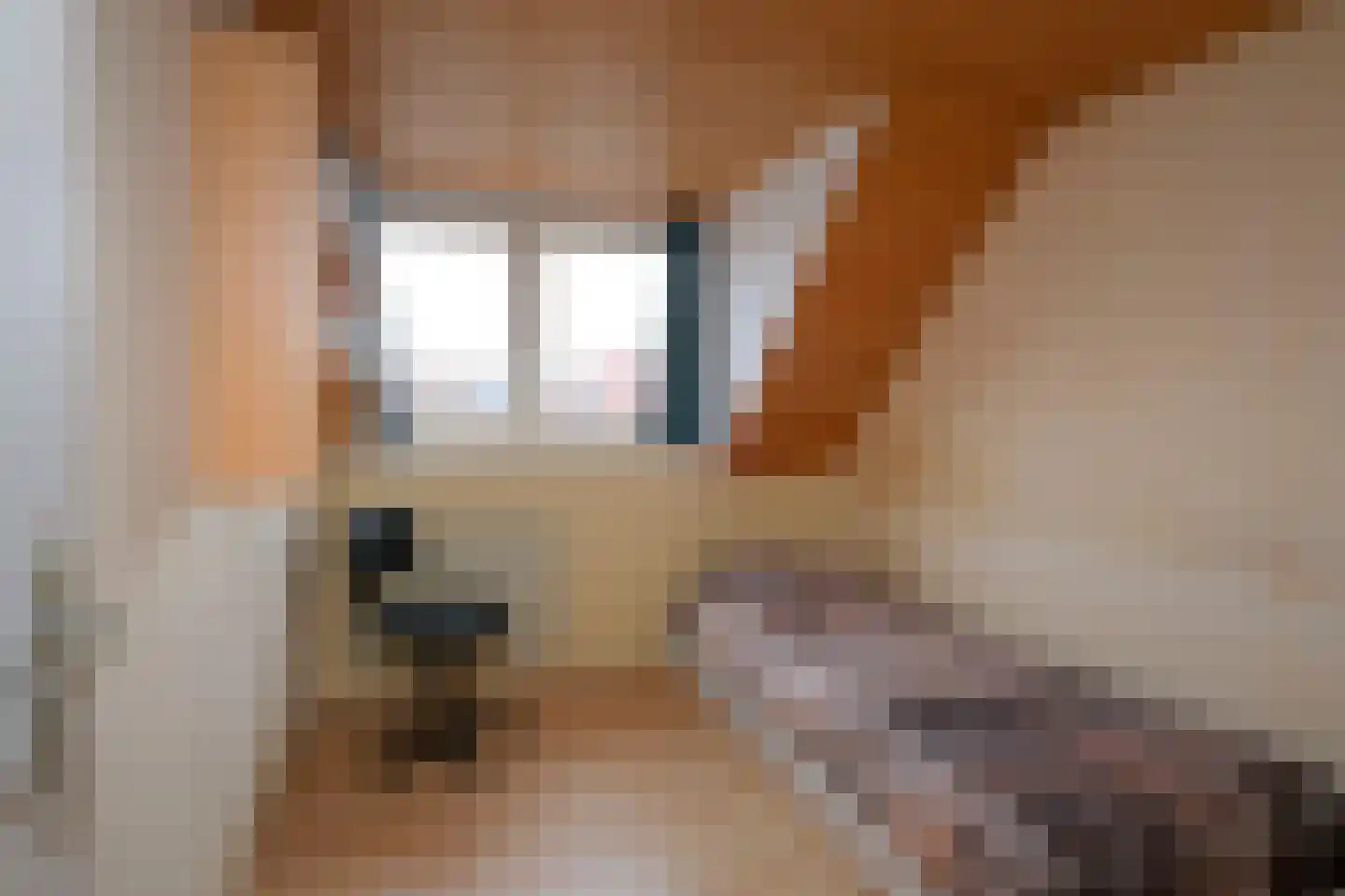 Violierstraat 15 Almelo thumbnail 28