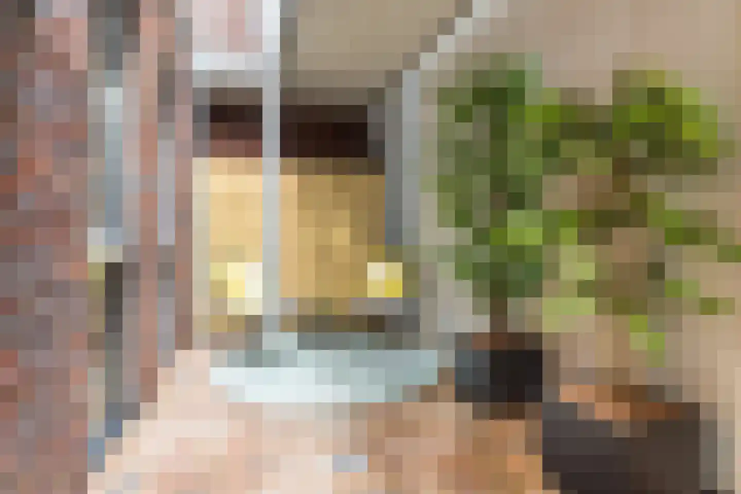 Violierstraat 15 C Uden thumbnail 29