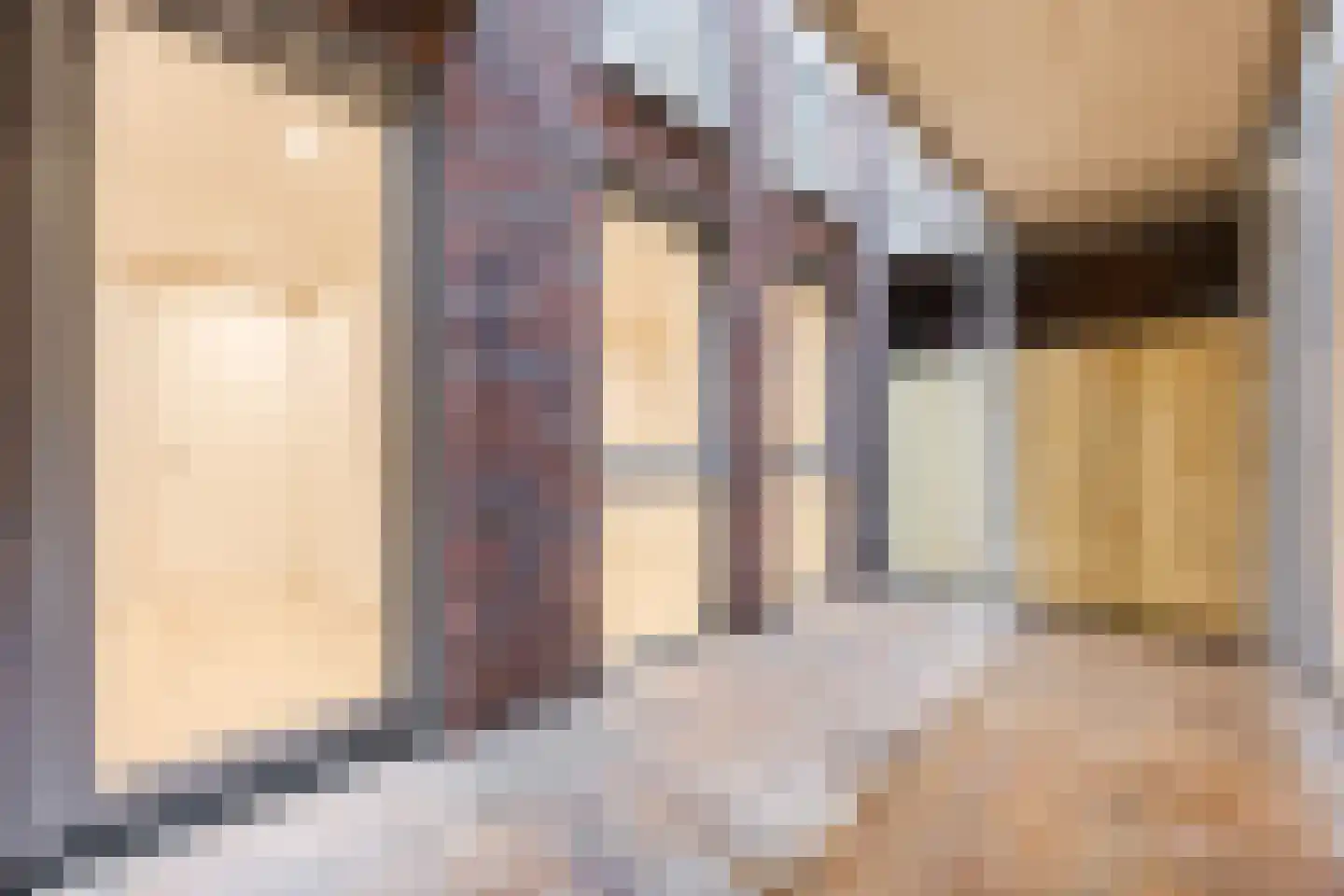 Violierstraat 15 C Uden thumbnail 36