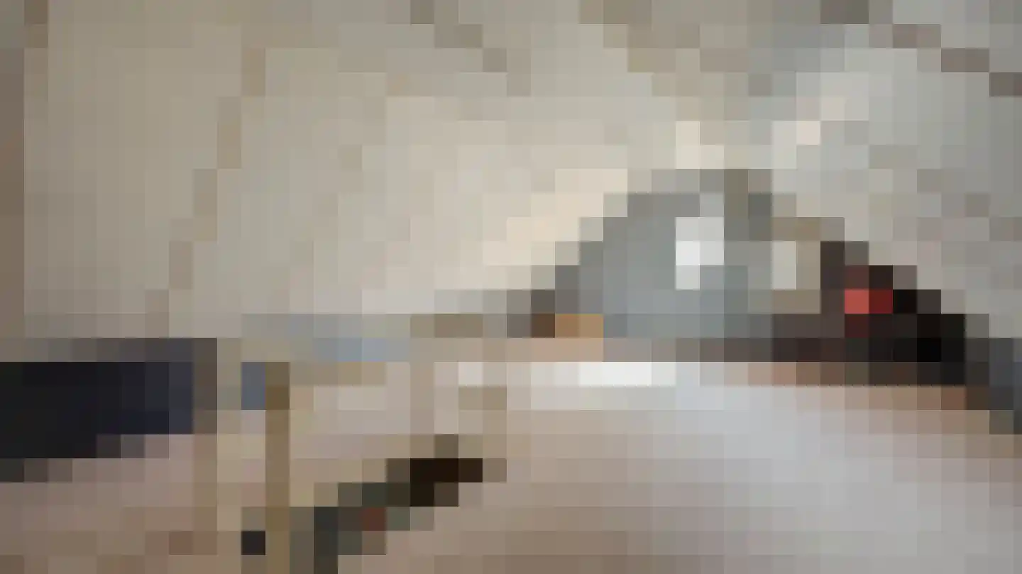 Violierstraat 152 Almelo thumbnail 24