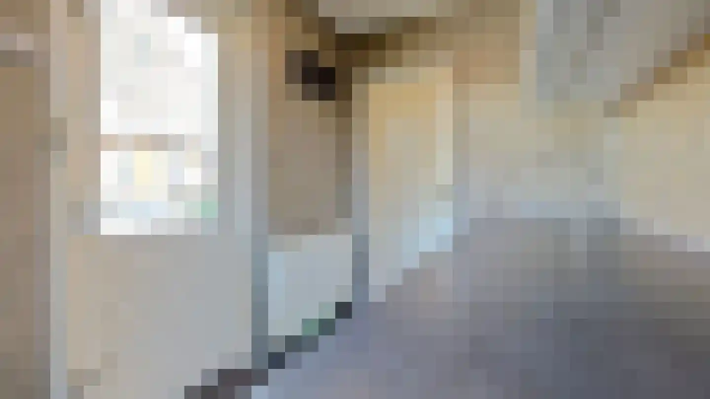 Violierstraat 152 Almelo thumbnail 31