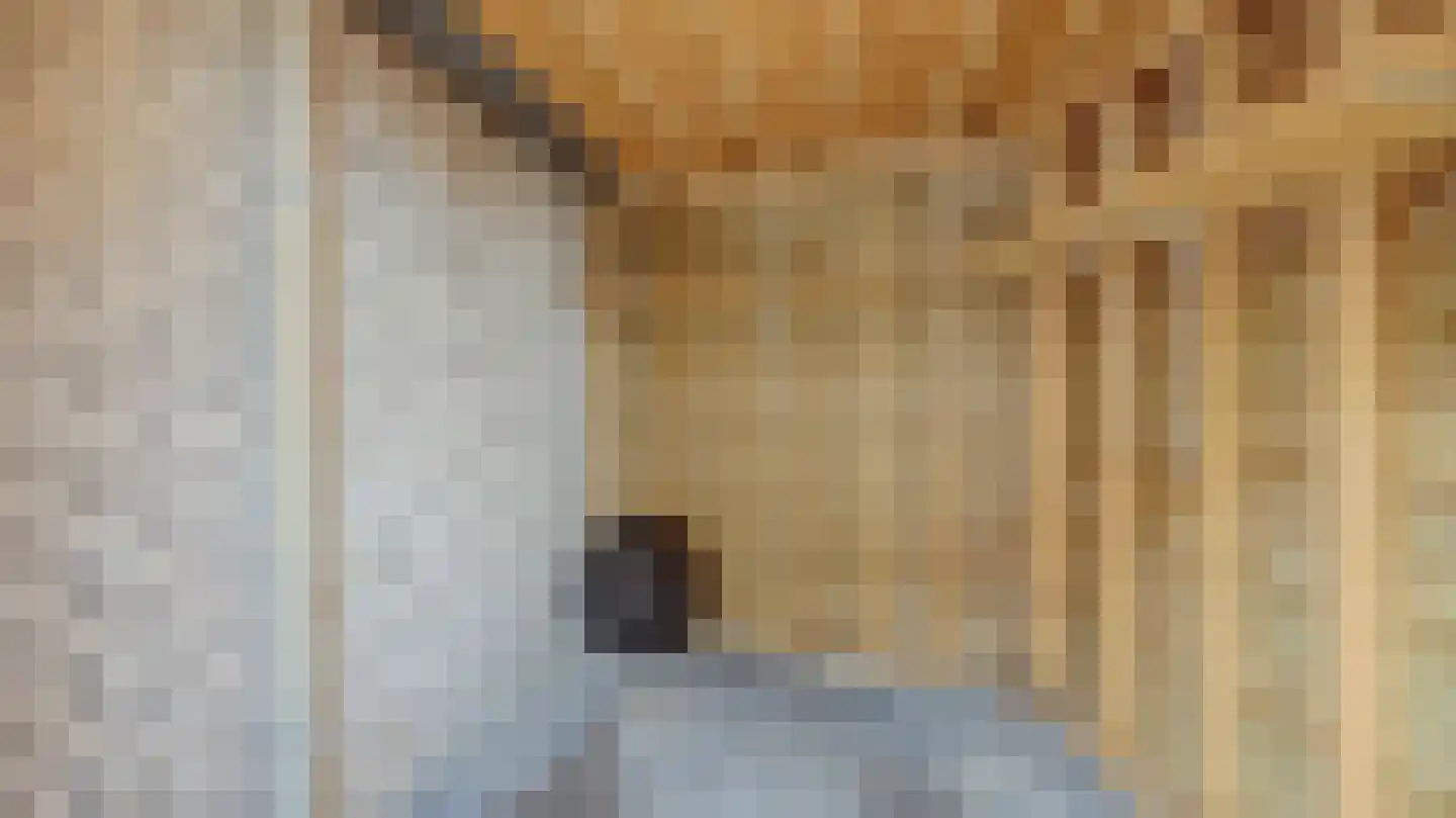 Violierstraat 152 Almelo thumbnail 32