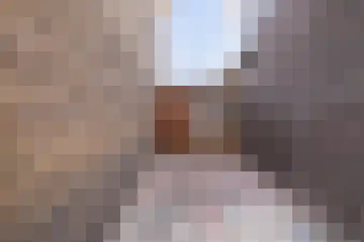 Violierstraat 172 Almelo thumbnail 22