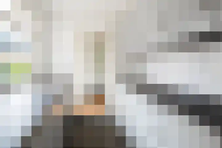 Violierstraat 172 Almelo thumbnail 4
