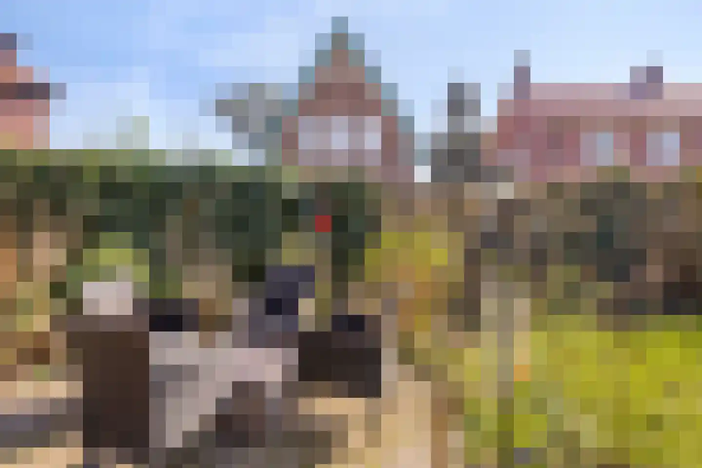 Violierstraat 180 Almelo thumbnail 24