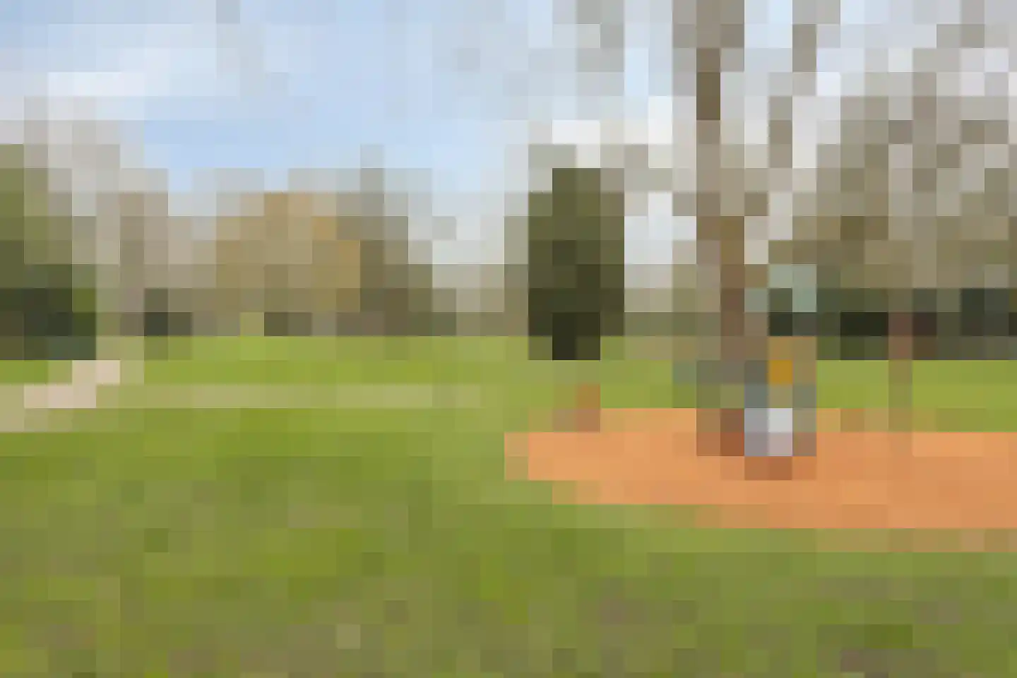 Violierstraat 180 Almelo thumbnail 29