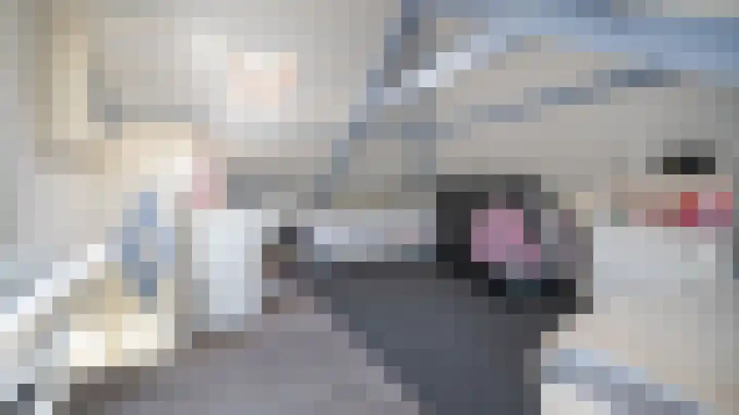 Violierstraat 186 Almelo thumbnail 27
