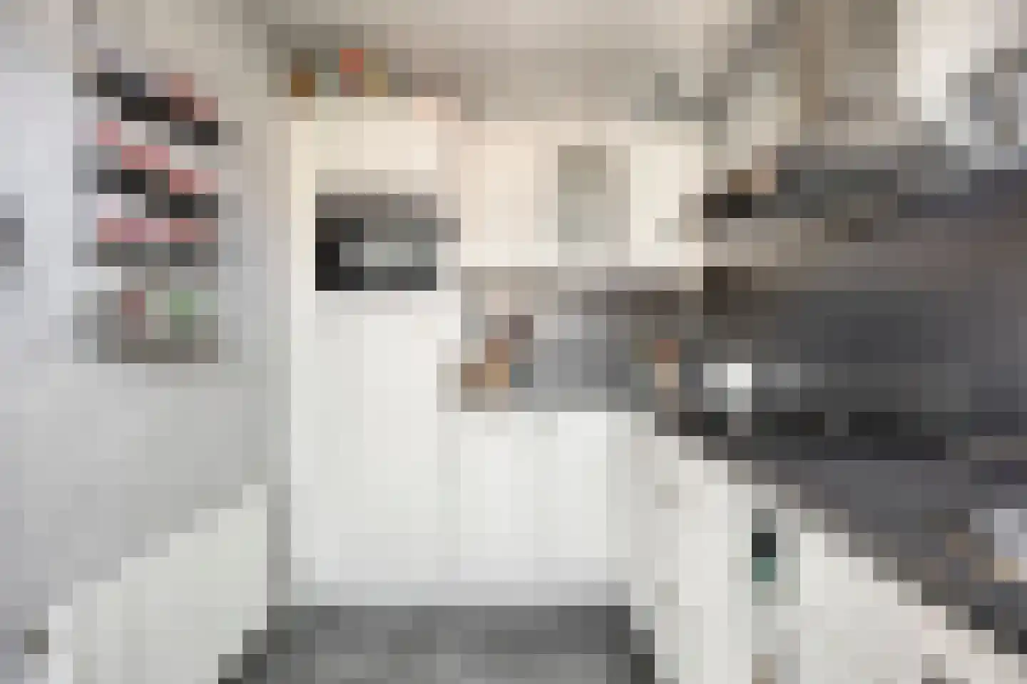 Violierstraat 19 Spijkenisse thumbnail 8