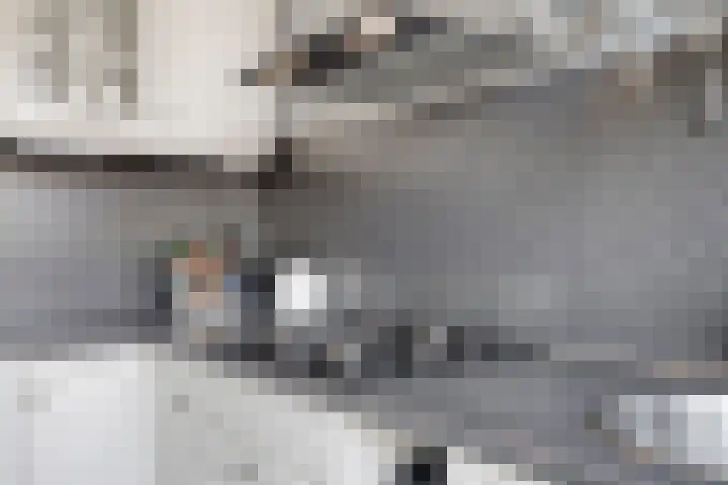 Violierstraat 19 Spijkenisse thumbnail 9