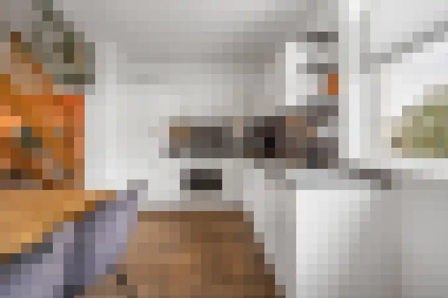 Violierstraat 20 Beuningen Gld thumbnail 12