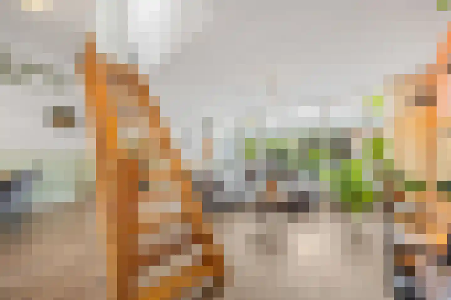 Violierstraat 20 Beuningen Gld thumbnail 5