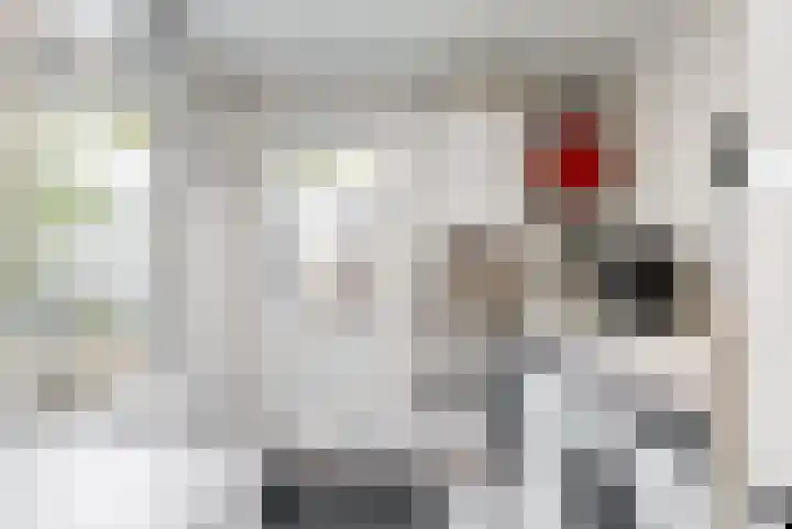 Violierstraat 20 Tiel thumbnail 10