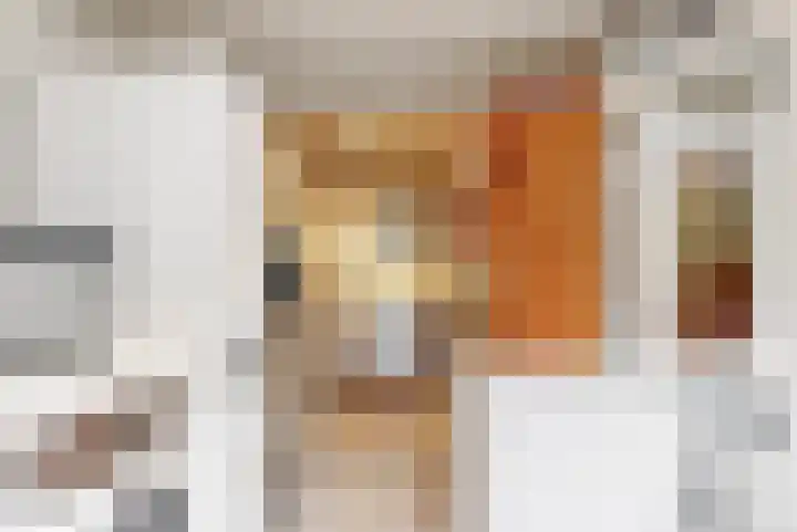 Violierstraat 20 Tiel thumbnail 11