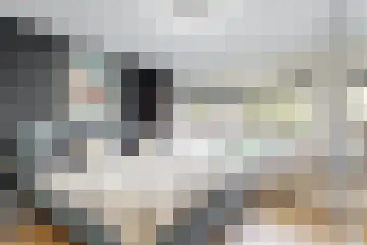 Violierstraat 20 Tiel thumbnail 14