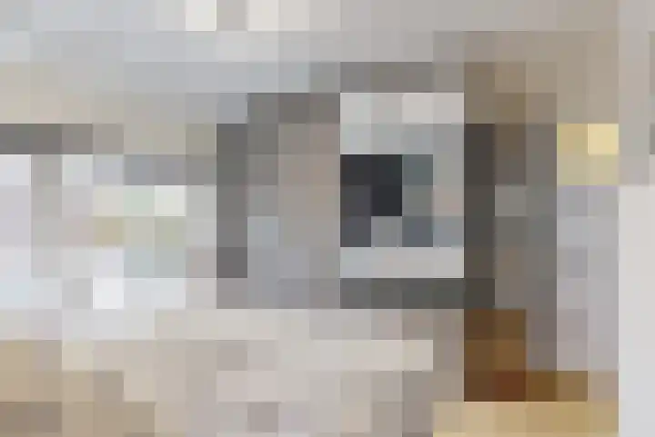 Violierstraat 20 Tiel thumbnail 16