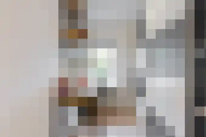 Violierstraat 20 Tiel thumbnail 17