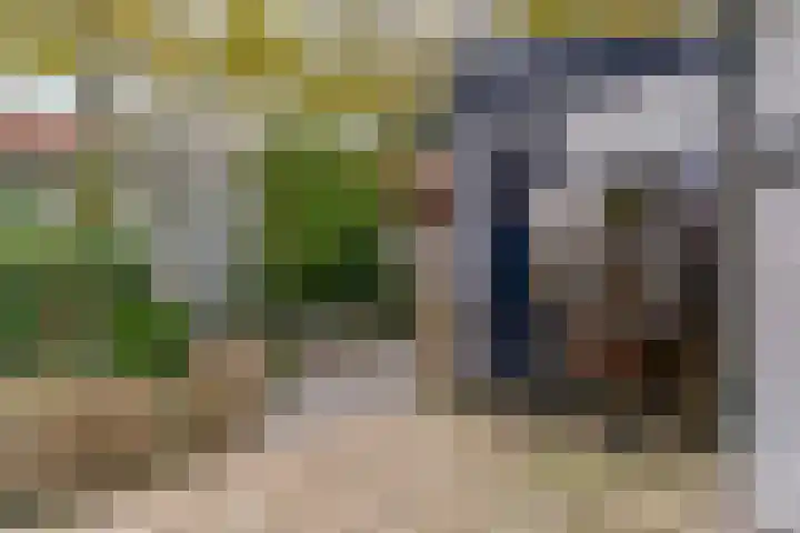 Violierstraat 20 Tiel thumbnail 20